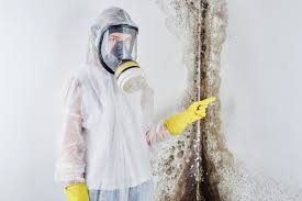 Best Residential Mold Inspection & Testing  in Carlisle, PA